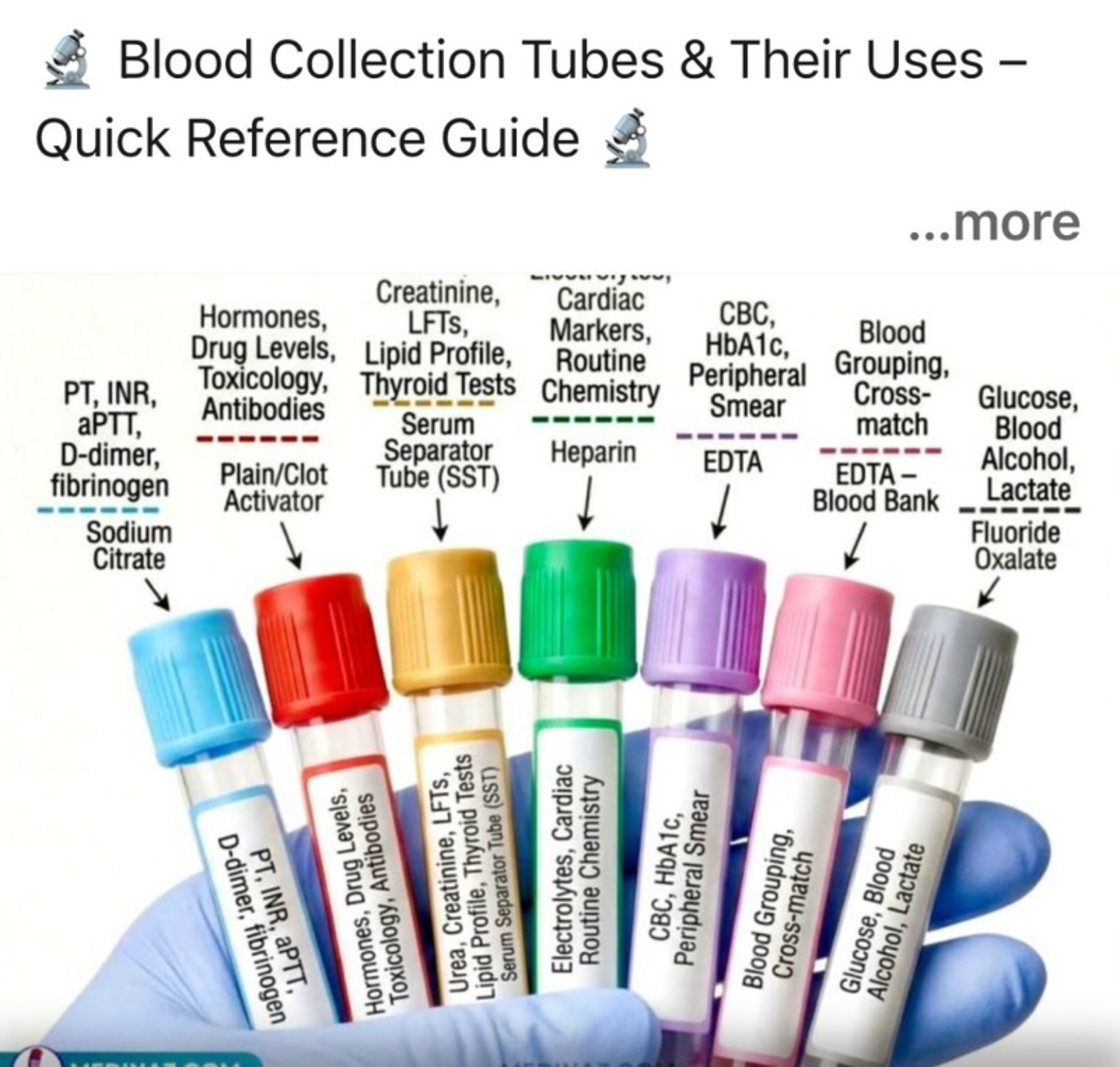 Quick-reference guide showing blood collection tube colors and common uses